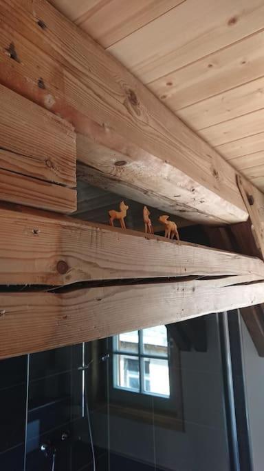 Mothsgut - Moderne Ferienwohnung Auf Dem Bauernhof Im Erzgebirge Oelsnitz  Kültér fotó